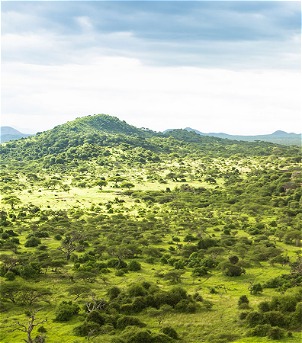 Parque Nacional Chyulu Hills